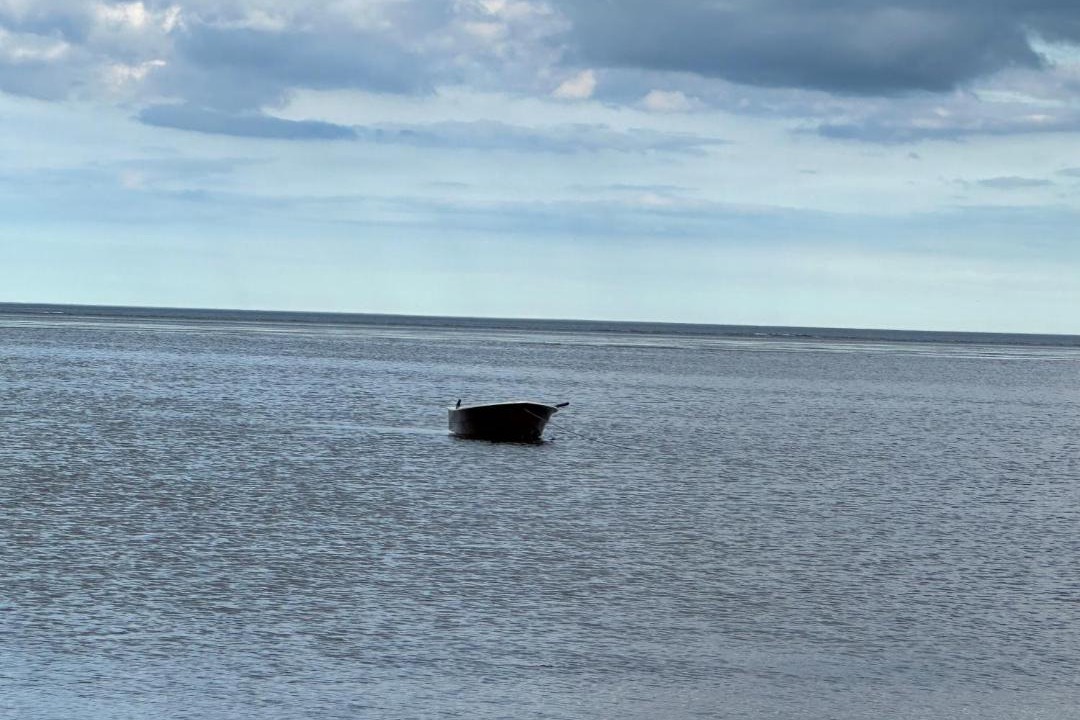 Photo of Human In Picture in Storvorde