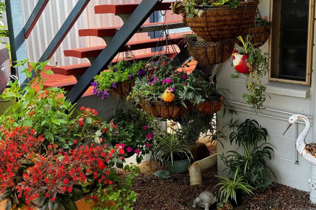 Photo of Patio Balcony in Yungaburra