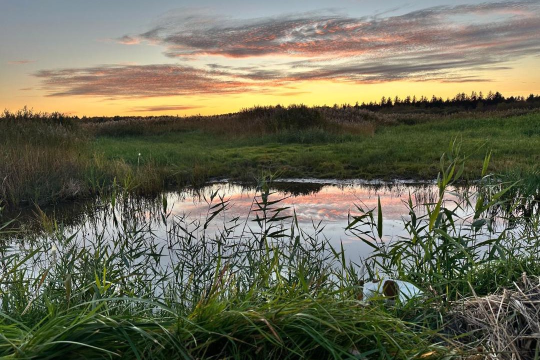 Photo of Others in Storvorde