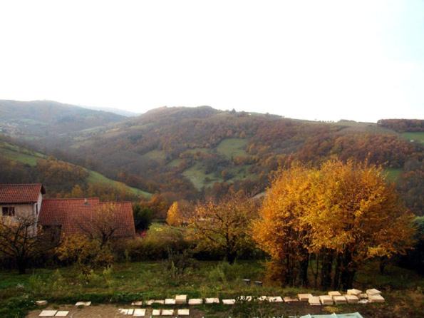 Photo of Others in Saint-Pierre-la-Palud