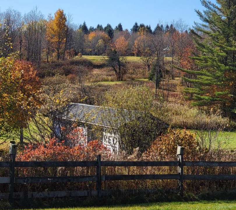 Photo of Others in Redfield