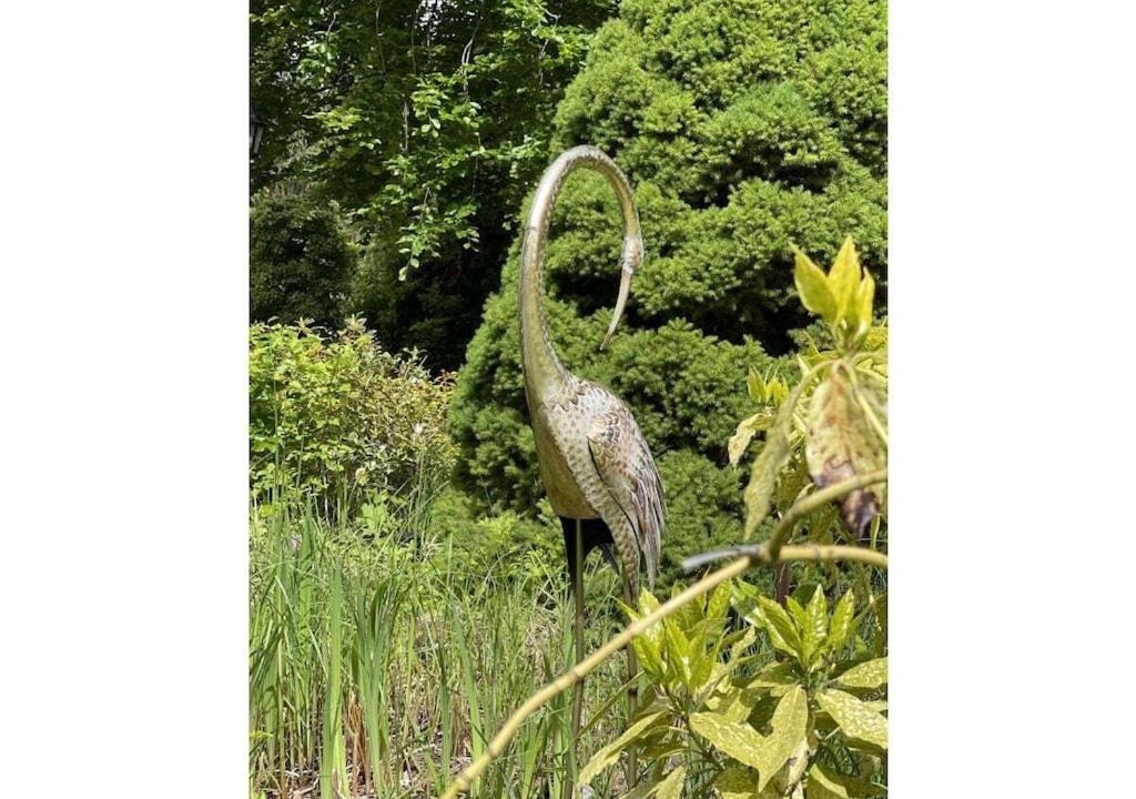 Photo of Others in Wissembourg