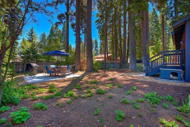 Photo of Others in Comstock Acres