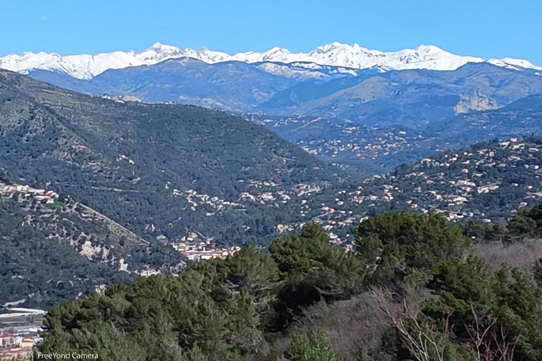 Photo of Others in Nice