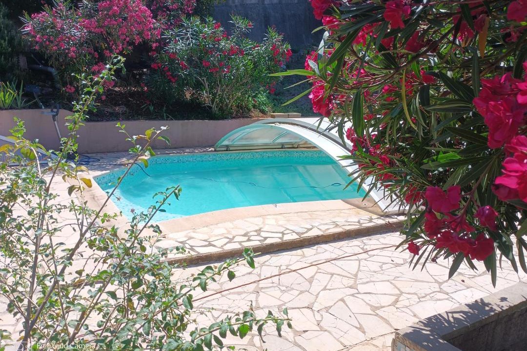 Photo of Others in Nice