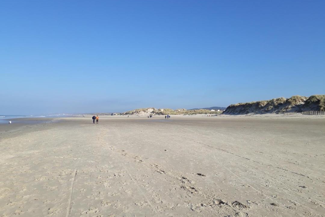 Photo of Others in Camiers