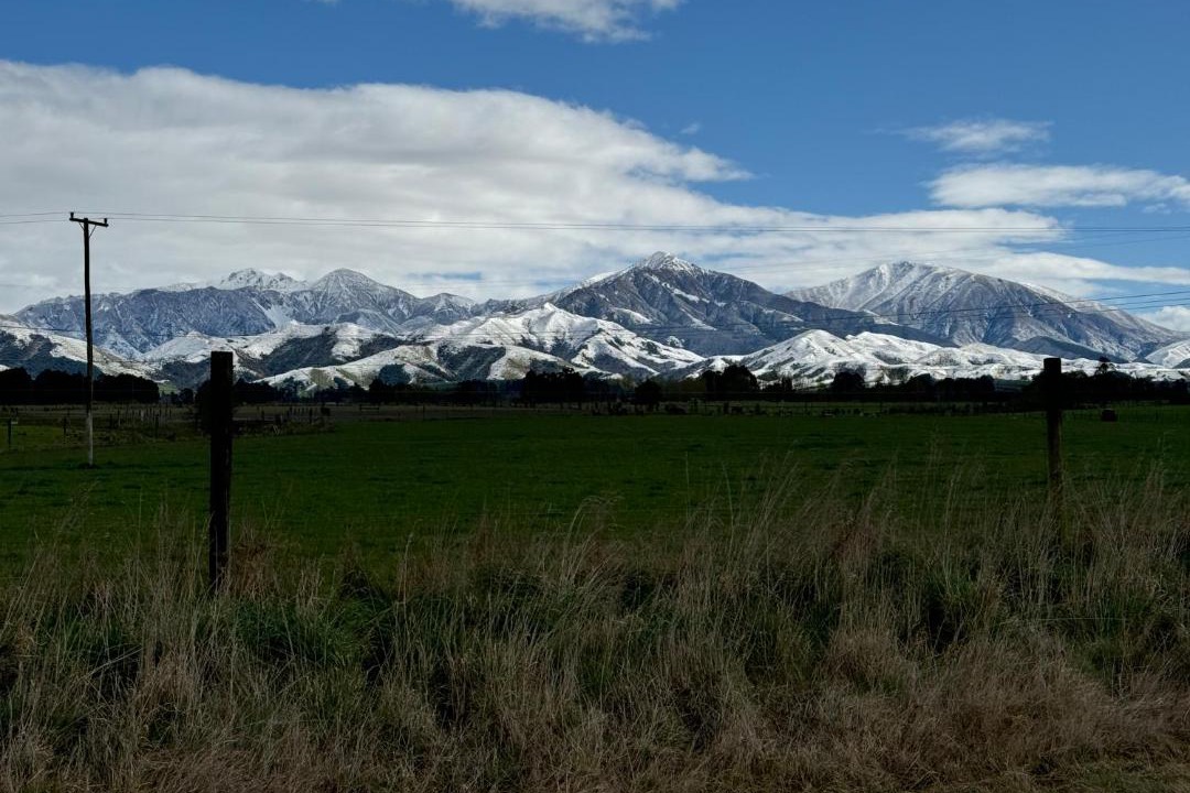 Photo of Others in Geraldine