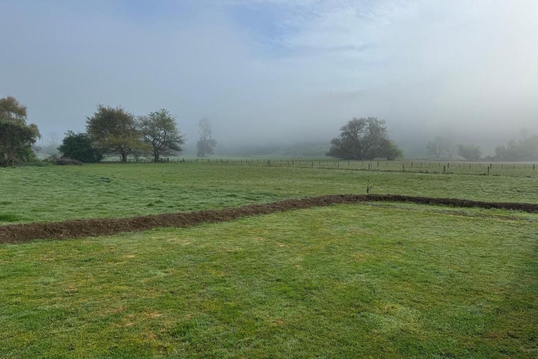 Photo of Others in Geraldine