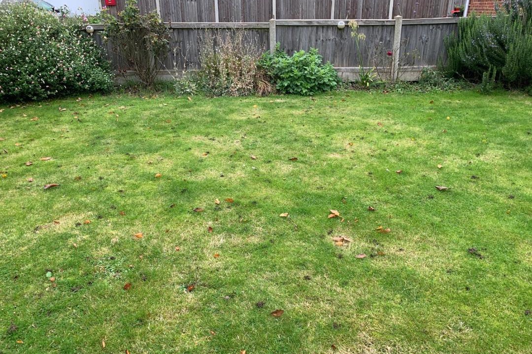 Photo of Outdoor in Broad Oak