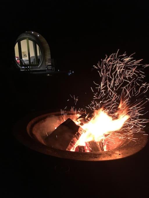 Photo of Others in Glandyfi