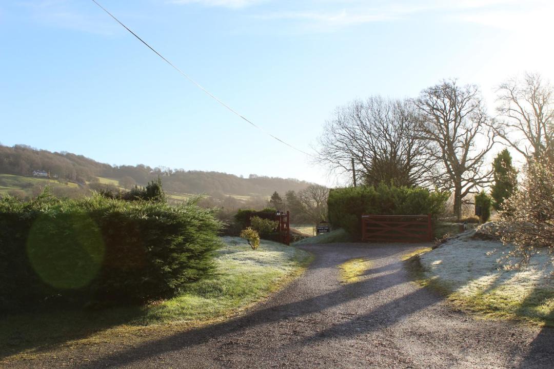 Photo of Others in Usk