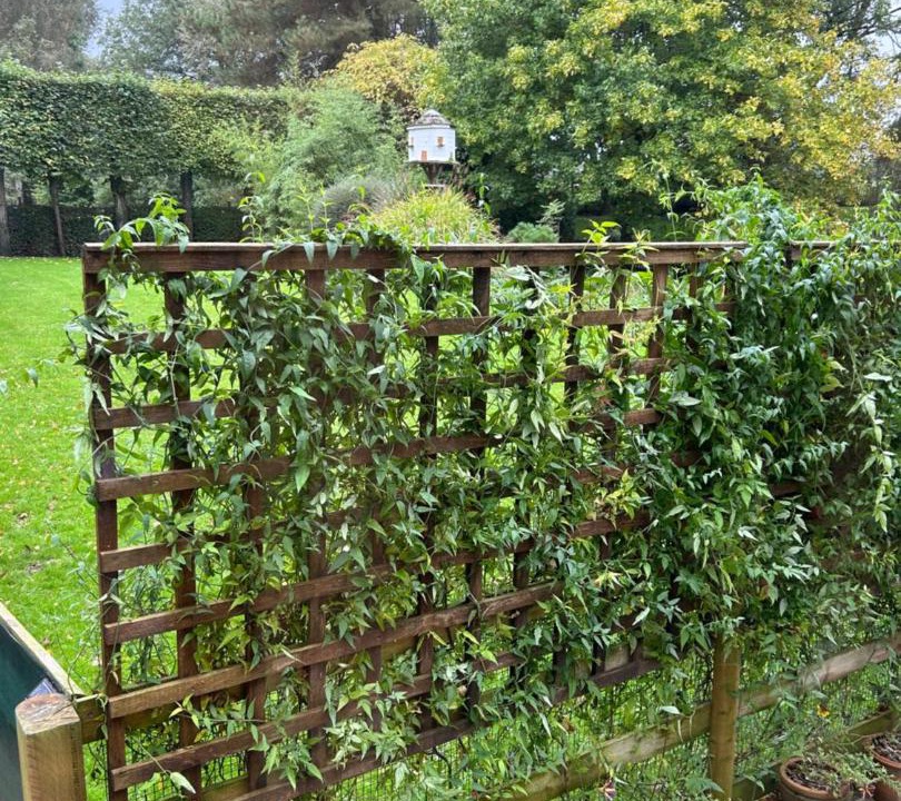 Photo of Others in Forest of Dean