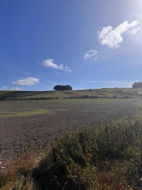 Photo of Others in Broad Hinton