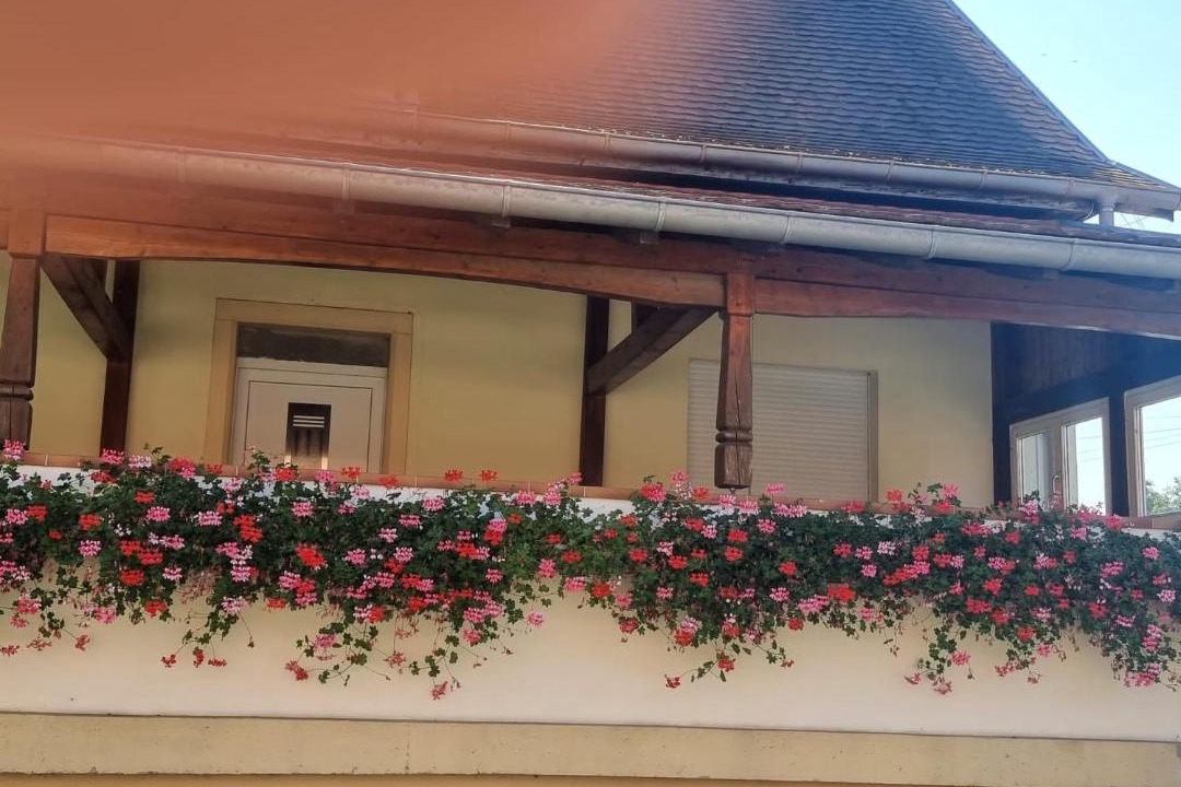 Photo of Others in Mackenheim