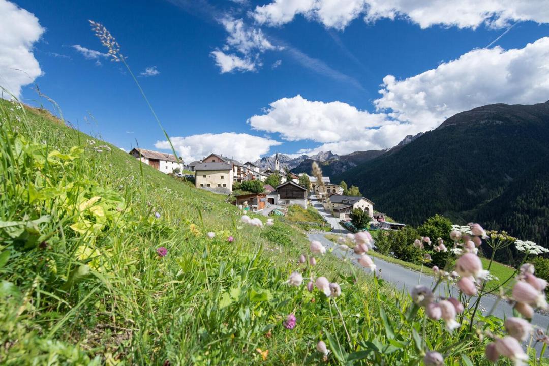 Photo of Others in Guarda