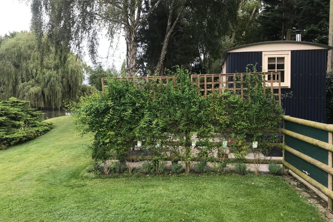 Photo of Others in Forest of Dean