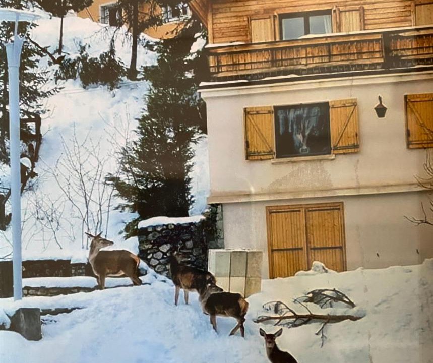 Photo of Others in Saint-Etienne-de-Tinee