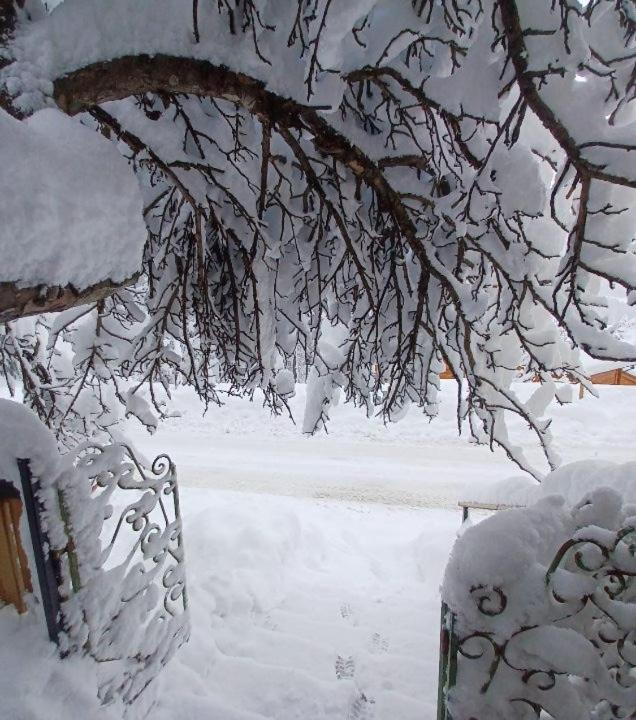 Photo of Others in Saint-Etienne-de-Tinee