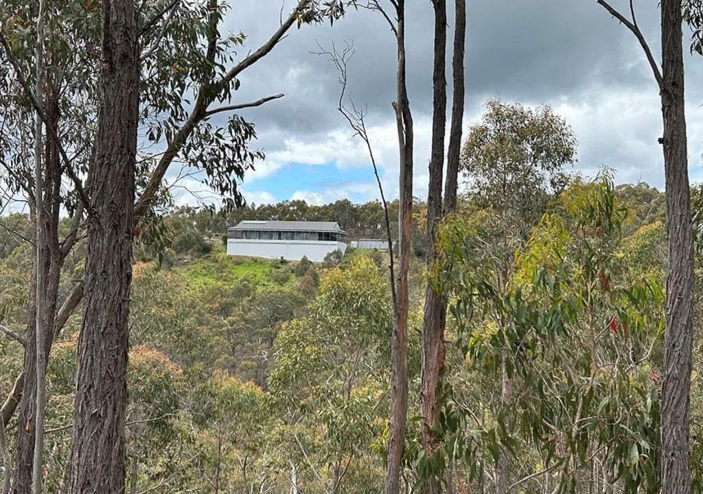 Photo of Others in Steels Creek