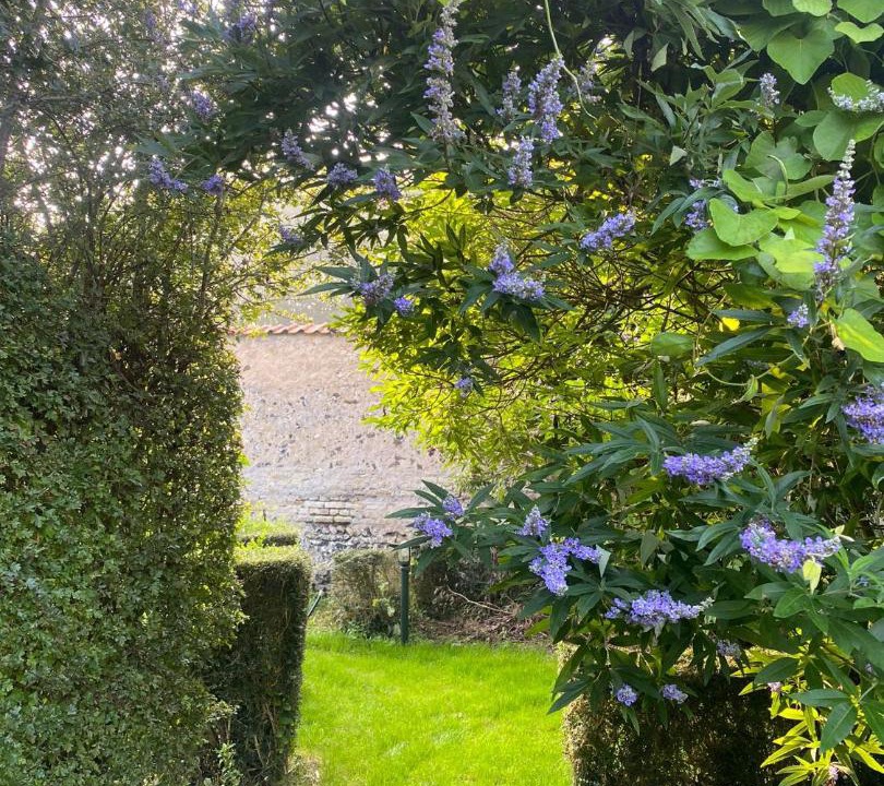 Photo of Outdoor in Peuplingues
