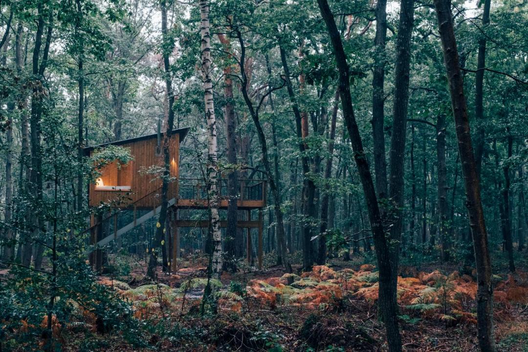 Photo of Others in La Couture Boussey