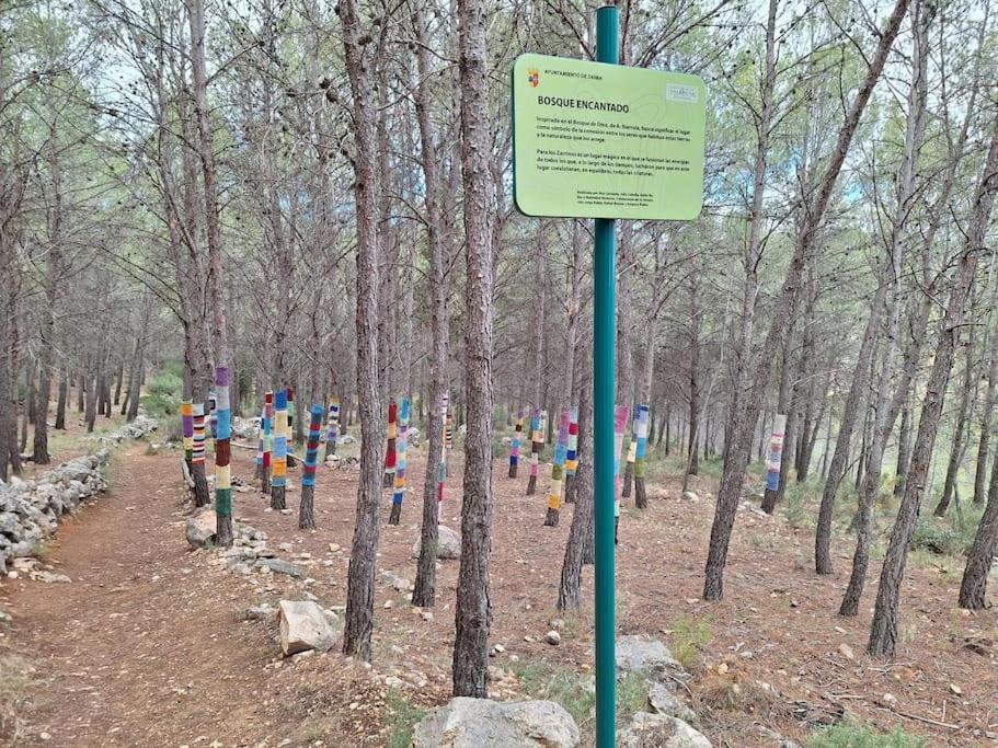 Photo of Others in Zarra