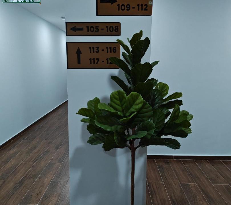 Photo of Others in Kusial