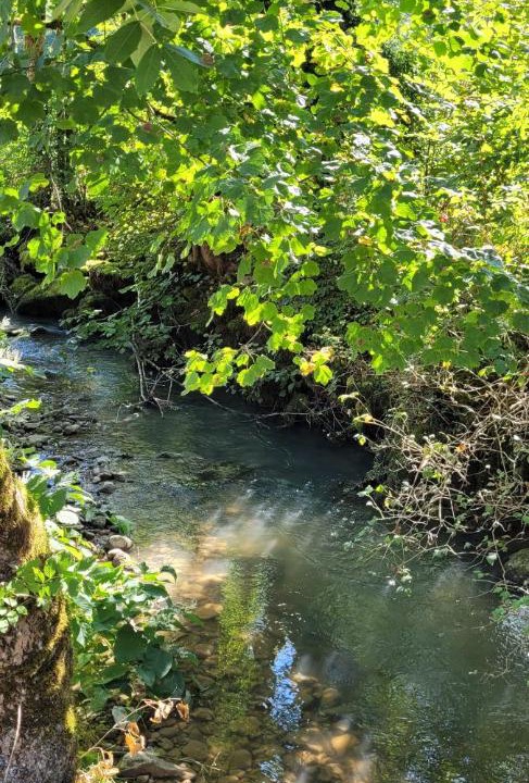 Photo of Others in Ravilloles