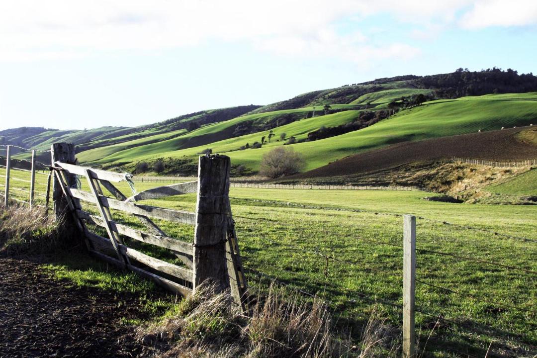 Photo of Others in Welshpool