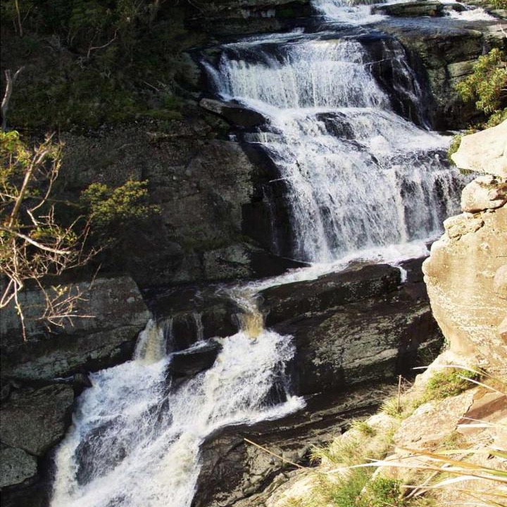 Photo of Others in Welshpool