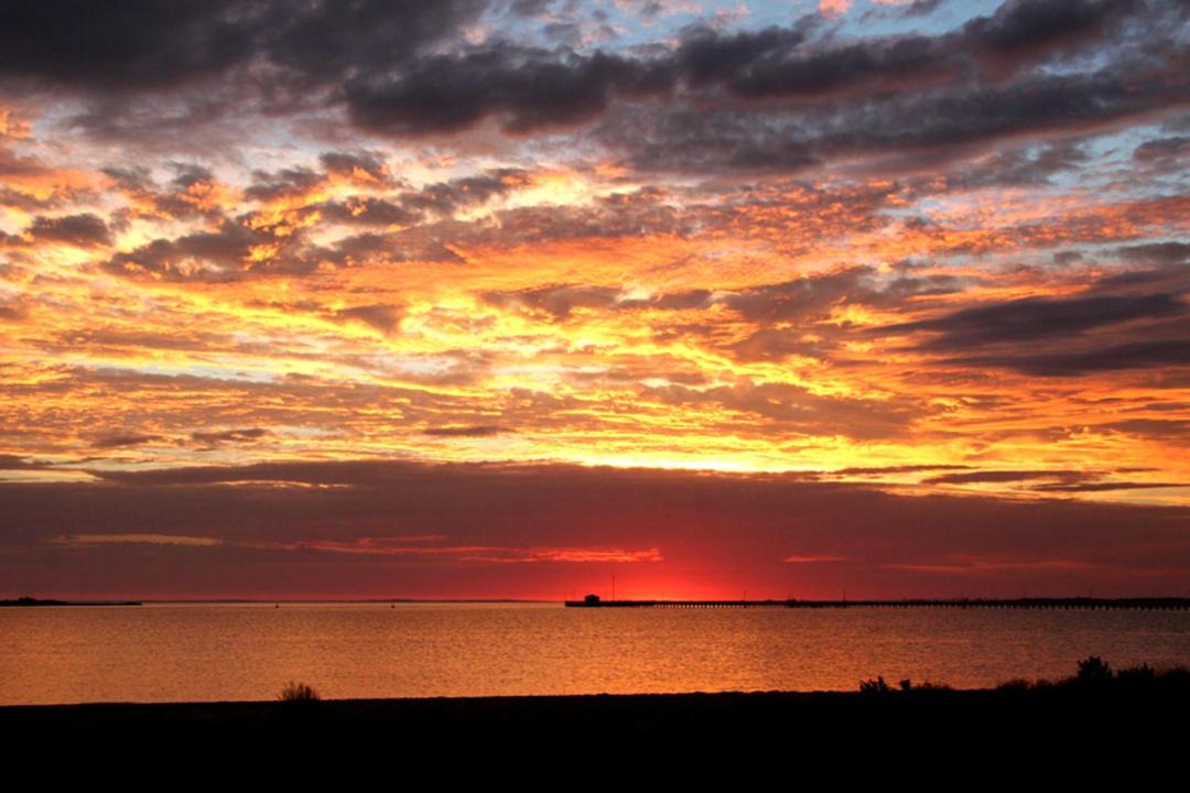 Photo of Others in Welshpool