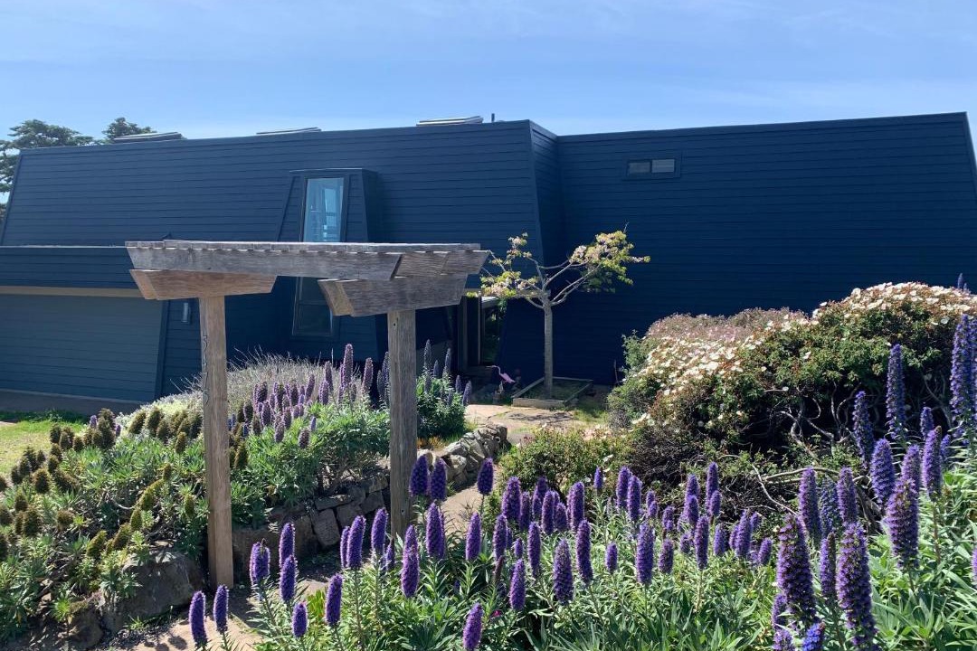 Photo of Others in Sereno del Mar