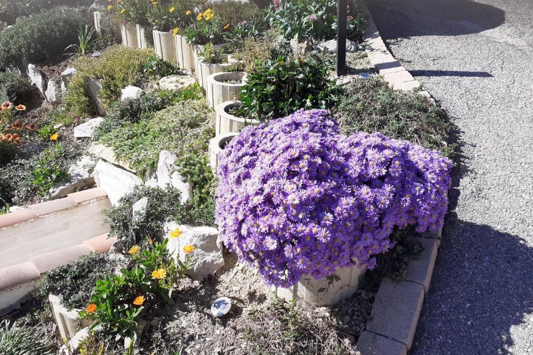 Photo of Others in Sisteron