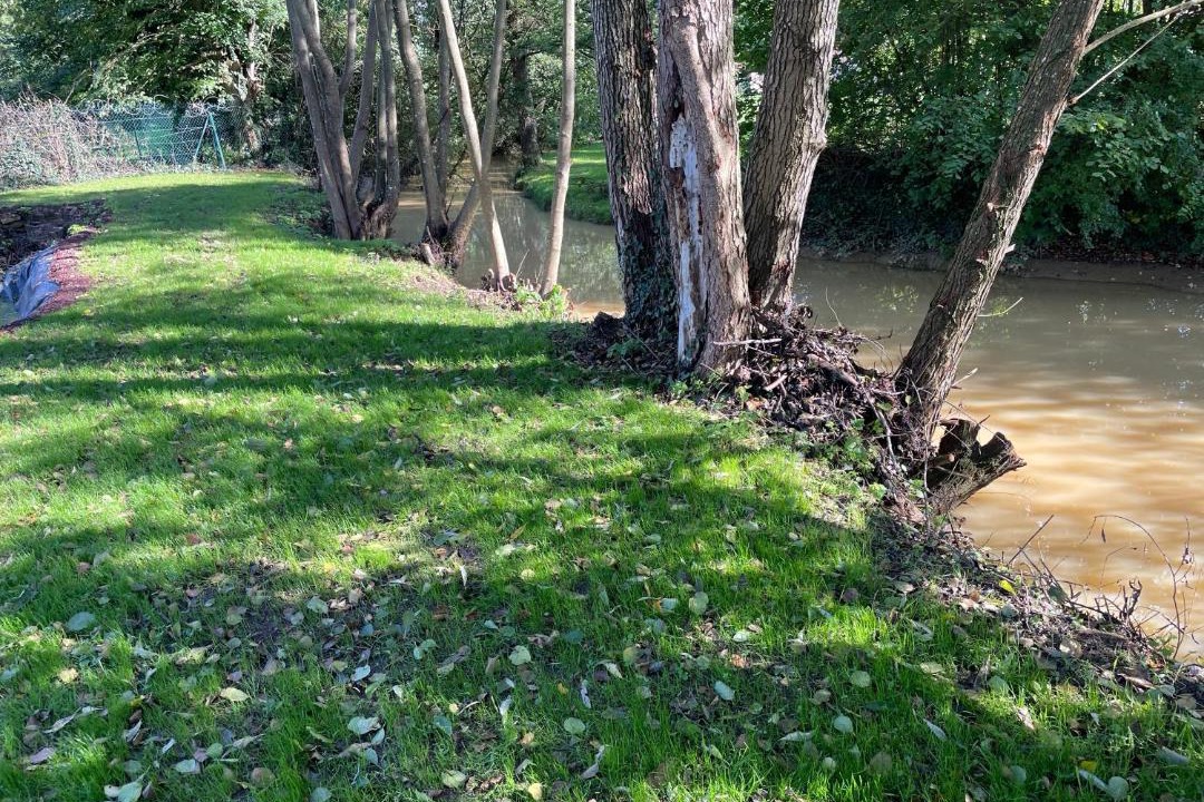 Photo of Others in Villy-en-Trodes