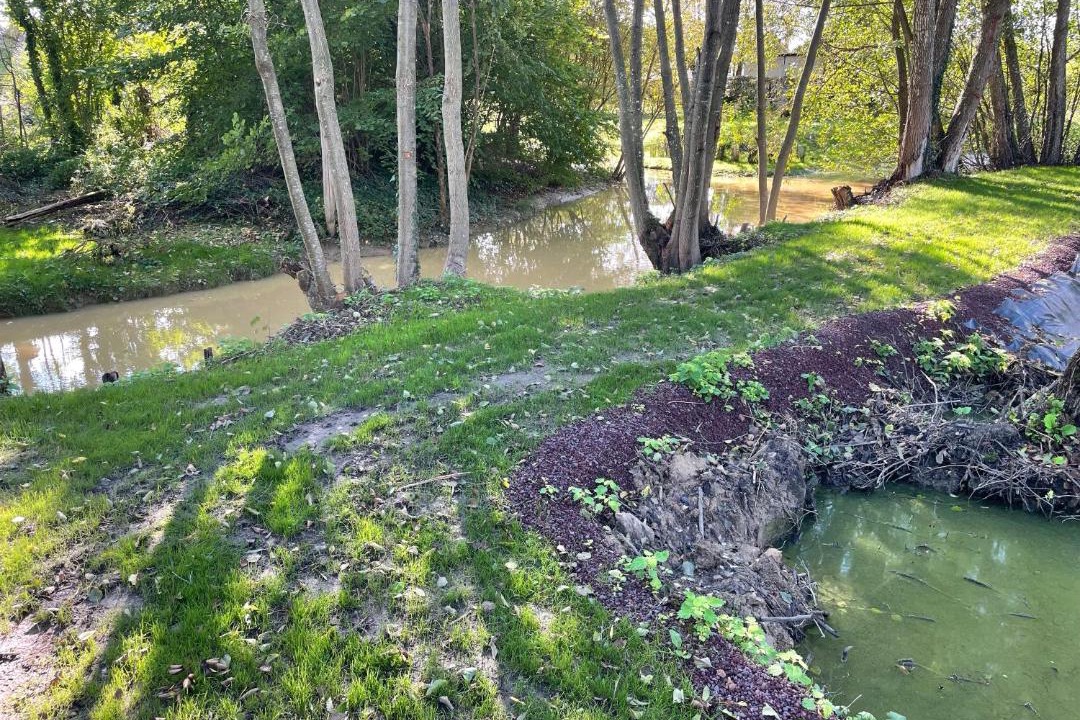 Photo of Others in Villy-en-Trodes