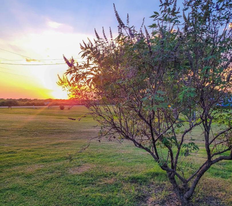 Photo of Others in Port Alto