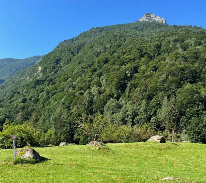 Photo of Others in Brione
