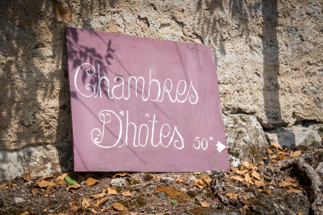 Photo of Others in Chenehutte-Treves-Cunault