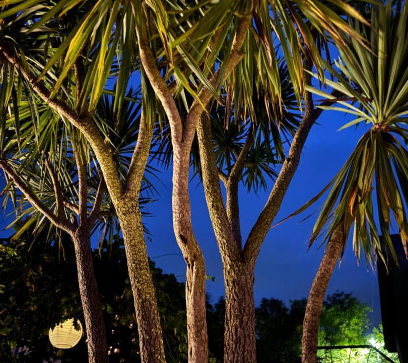 Photo of Others in Vale of Glamorgan