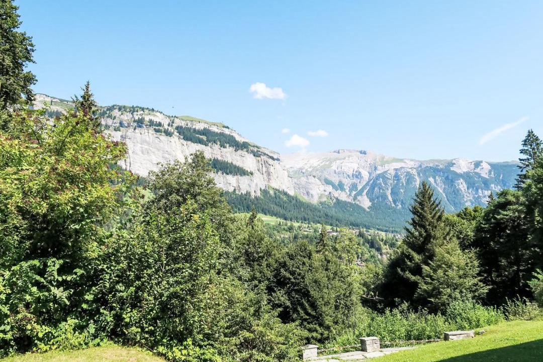 Photo of Others in Flims
