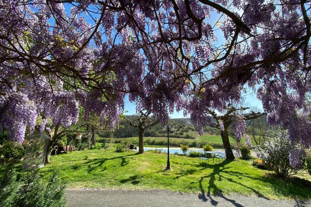 Photo of Others in Lautrec