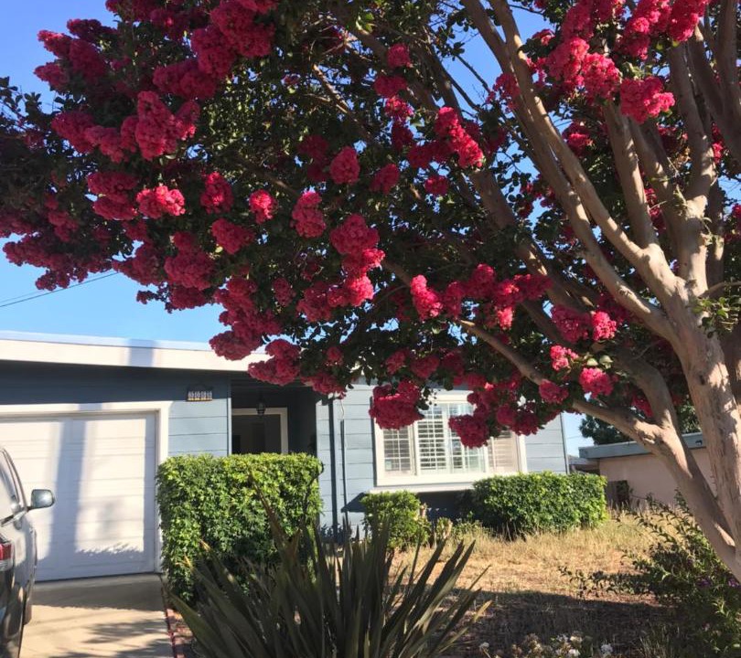 Photo of Others in Central District