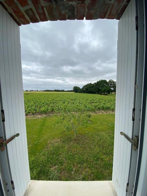 Photo of Others in Chateau-Thebaud