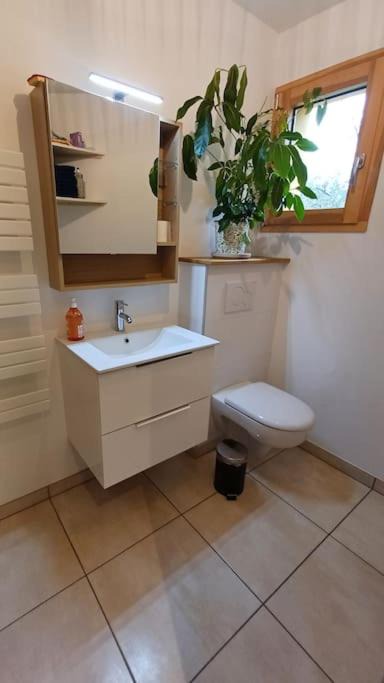 Photo of Bathroom in Fertans