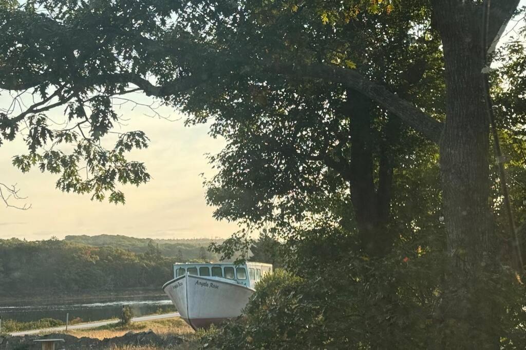 Photo of Others in Yarmouth County