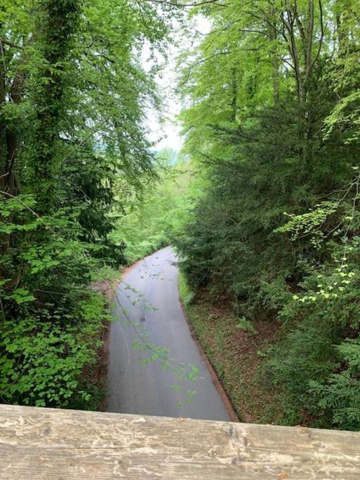 Photo of Others in Berry Hill