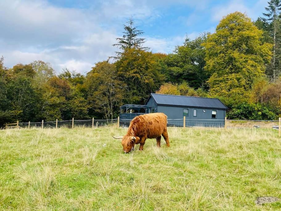 Photo of Others in Duror