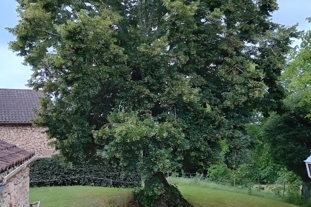 Photo of Others in Meyrals