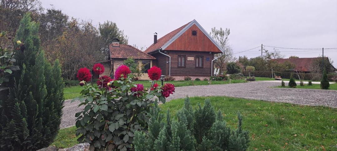 Photo of Others in Jakovlje