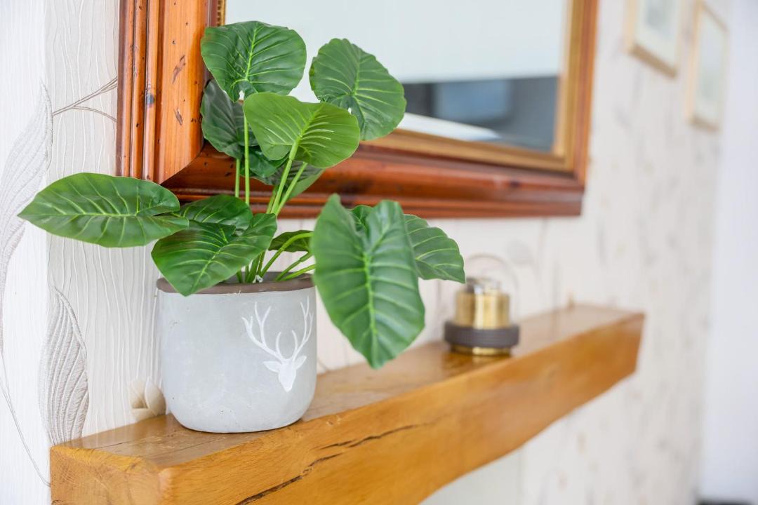 Photo of Others in Pitchcombe